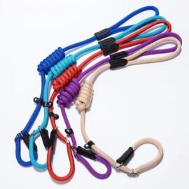 Choke Chain Leash For Dogs