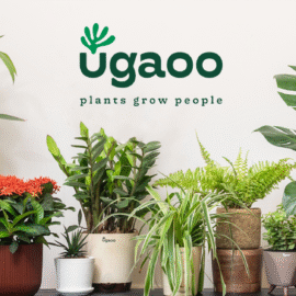Plant Parent Club - Ugaoo.com