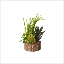 Succulent Planter Flowerpot