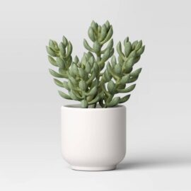 Artificial Succulent Plant - Threshold™